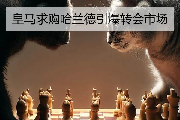 huang-ma-qiu-gou-ha-lan-de-yin-bao-zhuan-hui-shi-chang-2-374.jpg