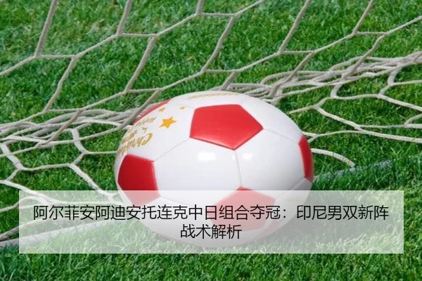 a-er-fei-an-a-di-an-tuo-lian-ke-zhong-ri-zu-he-duo-guan-yin-ni-nan-shuang-xin-zhen-zhan-shu-jie-xi-2-375.jpg