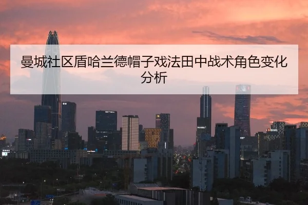 man-cheng-she-qu-dun-ha-lan-de-mao-zi-xi-fa-tian-zhong-zhan-shu-jue-se-bian-hua-fen-xi-2-388.jpg