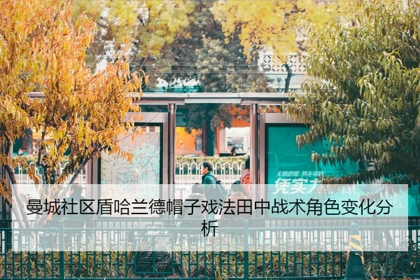 man-cheng-she-qu-dun-ha-lan-de-mao-zi-xi-fa-tian-zhong-zhan-shu-jue-se-bian-hua-fen-xi-3-514.jpg